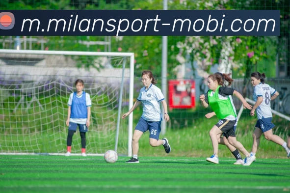 多媒体互动体验